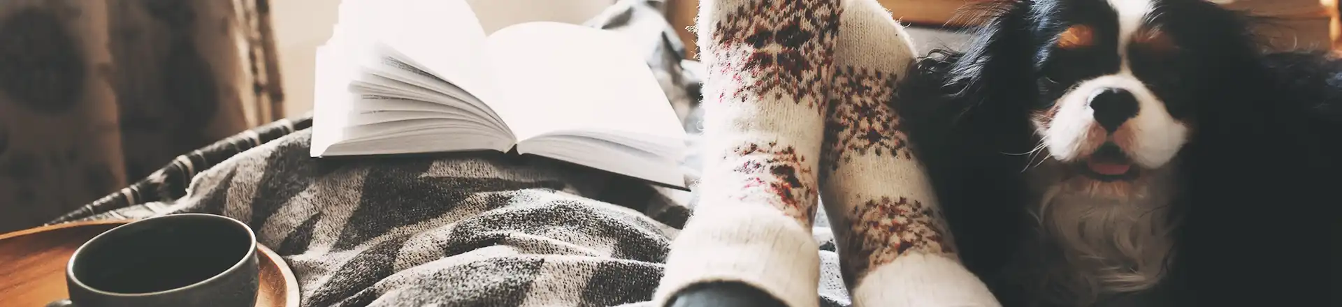 A person on the couch with warm socks next to a dog