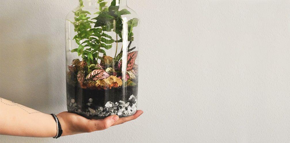 Tiny terrarium