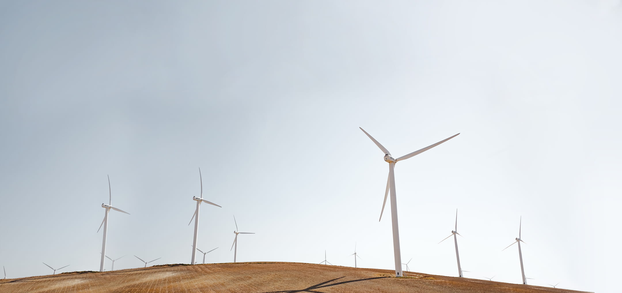 Renewable Energy